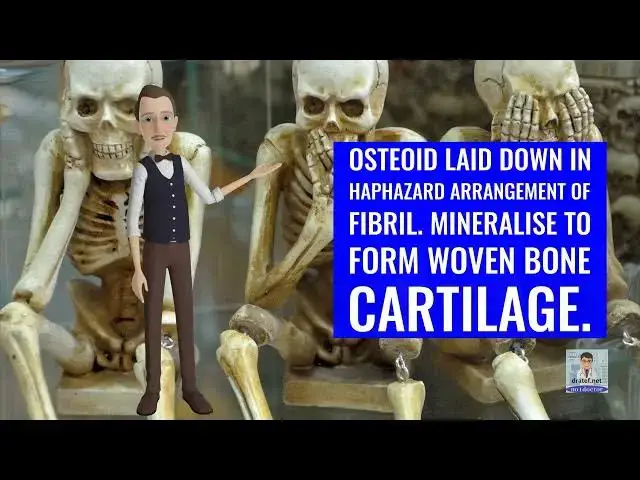Video thumbnail for Short Medical Notes / Fracture Healing / Medical Lecture / Medical Video / Medical Students  /