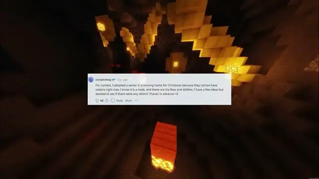 Video thumbnail for Adopt A Senior Gift Ideas