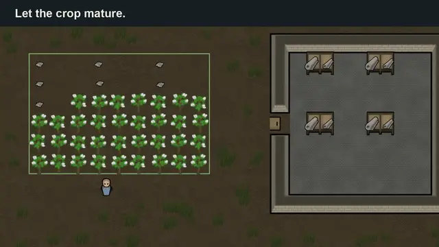 Video thumbnail for RimWorld Cloth Guide: Grow Cotton, Harvest Cloth & Supply Your Colony