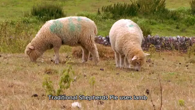 Video thumbnail for sheperds pie recipe