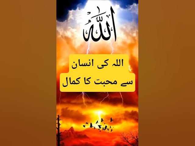Video thumbnail for Jab Insaan Allah Se Mohabbat Karne Lagta Hai ❤️ | Heart Touching #islamicshorts #AllahKiMohabbat