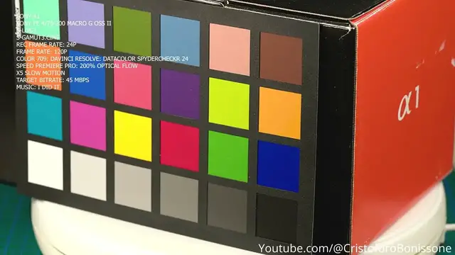 Video thumbnail for Sony A1 Test #sonya1 #video #slog3 #gamut #cine #davinciresolve #premierepro  #slowmotion #test