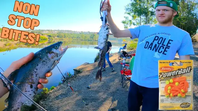 Video thumbnail for Trout Fishing Stocked Lake | Trout Limits & Multi - Species Day !