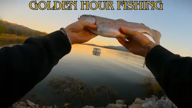Video thumbnail for Trout Fishing in Southern California Mountains | Big Bear Lake Fall Colors are here!