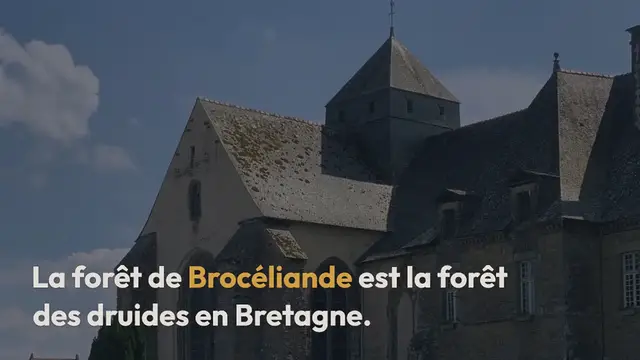 Video thumbnail for Visite de la forêt de Brocéliande: le Val sans retour et la Porte des Secrets