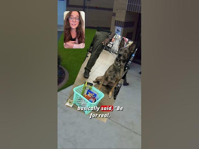 Video thumbnail for Suitcase FULL Of Drugs