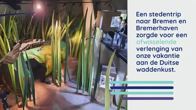 Video thumbnail for Een afwisselende stedentrip naar Bremen en Bremerhaven