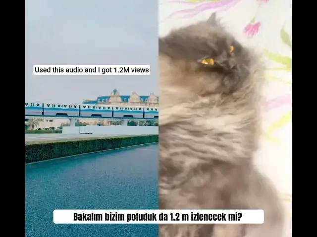 Video thumbnail for Akıma pofuduk bir güncelleme geldi 🐾 Sesi gerçekten işe yarıyor mu test ettik 🥰🐈‍⬛😻