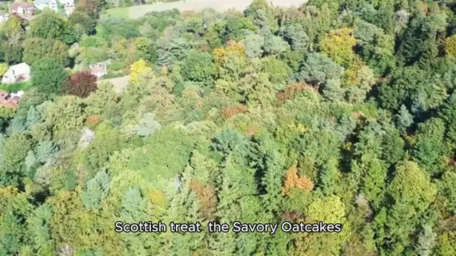 Video thumbnail for Scottish Savory Oatcakes