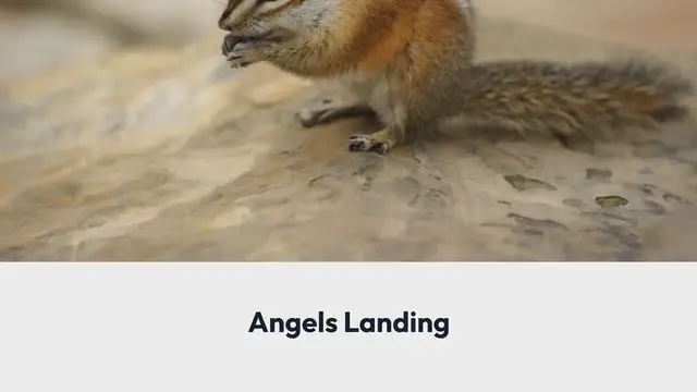 Video thumbnail for Angels Landing Hier seid ihr dem Himmel so nah wie nie zuvor