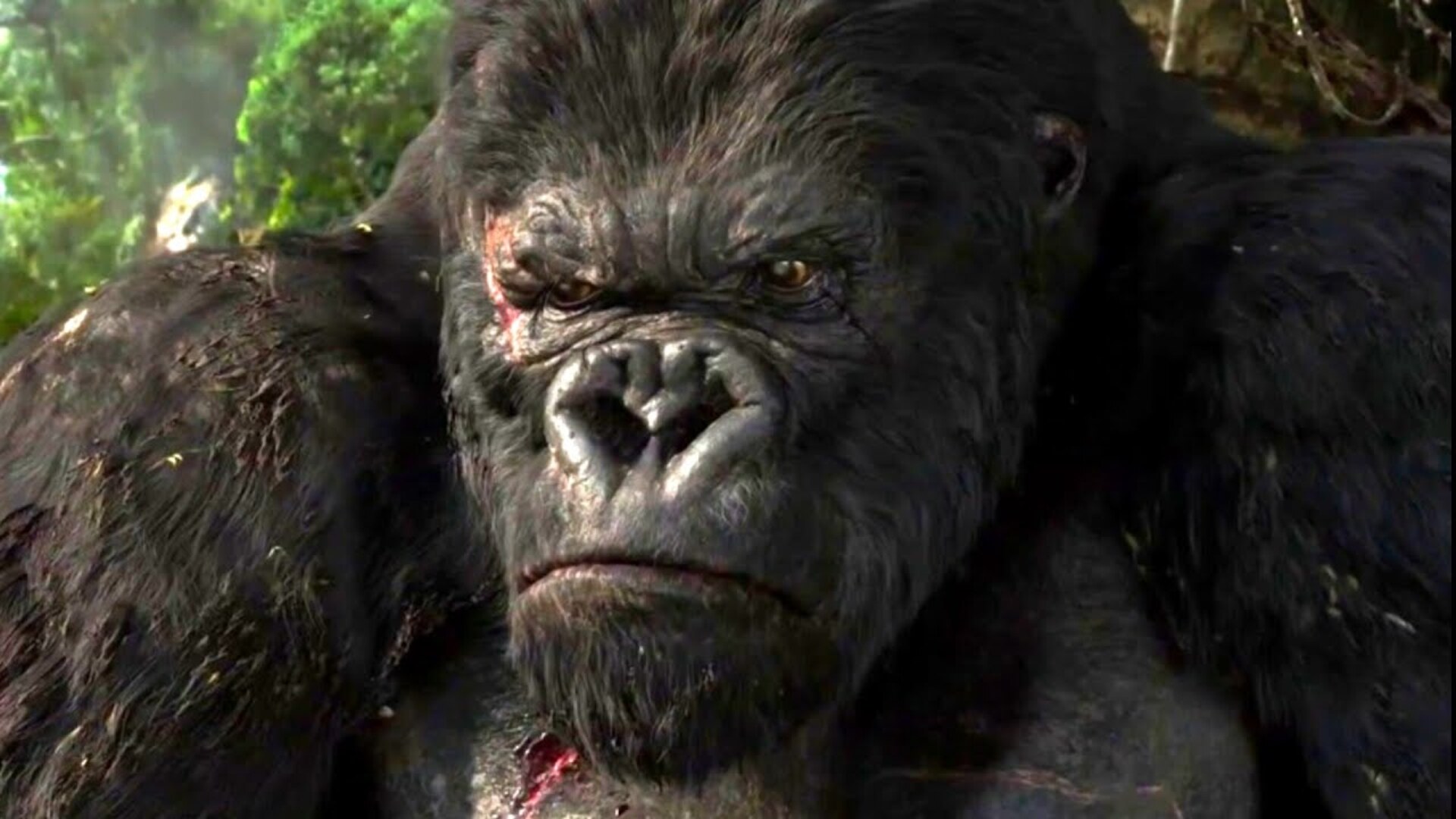 Video thumbnail for A Dive Into The History Of King Kong