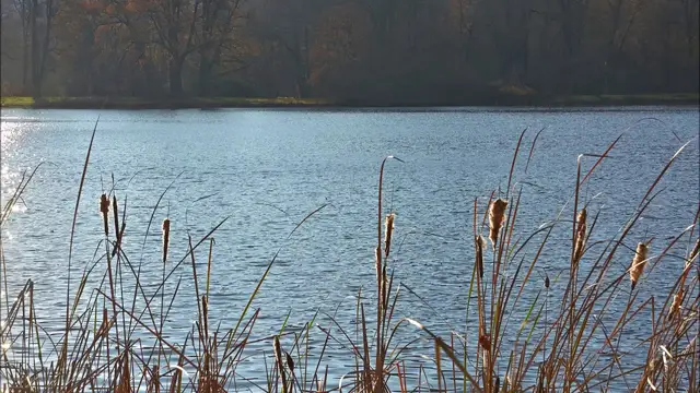 Video thumbnail for 1 Hour Meditation Music for Yoga//Music for Relaxation/Healing Music -relax Music  #zx2xb #relaxmind