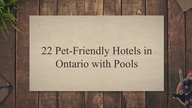 'Video thumbnail for 22 Pet-Friendly Hotels in Ontario with Pools (and Less Than 1KM From a Boardwalk or Beach too!)'
