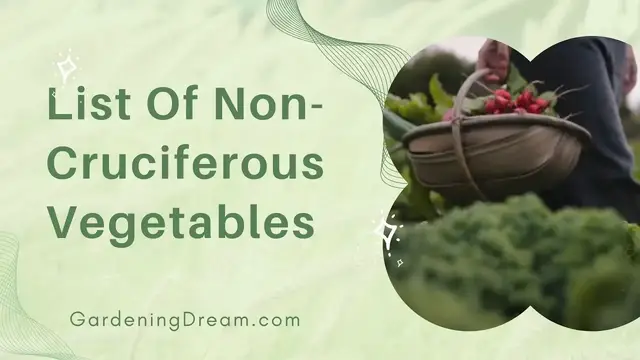 Video thumbnail for List Of Non Cruciferous Vegetables