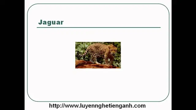 Video thumbnail for Learn English Vocabulary Through Pictures - Topic - Animals Lesson 07