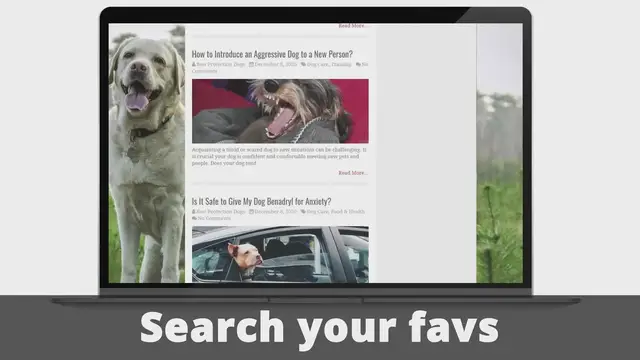 Video thumbnail for Best Protection Dogs