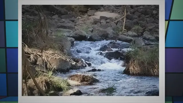 Video thumbnail for Consumer Appliances & Electronics