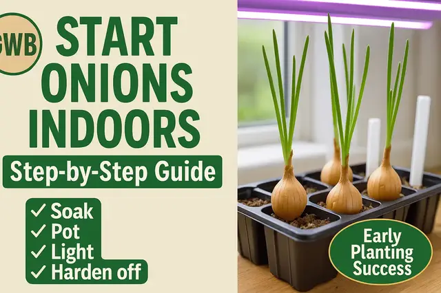 'Video thumbnail for How to Start Onion Bulbs Indoors Step by Step Guide for Early Planting Success'