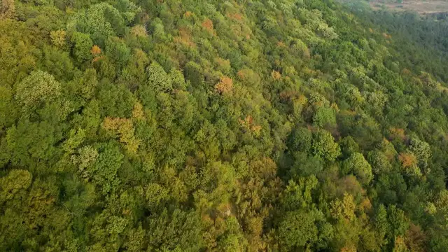 Video thumbnail for Guided Meditation | Guided Meditation for Inner Peace and Calm / Mindful Movement