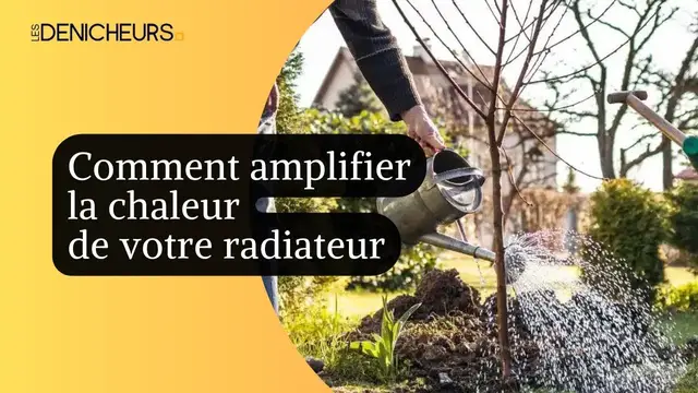 Video thumbnail for 💦💐Arrosage des plantes en hiver : erreurs à éviter pour un jardin florissant 💧🎍