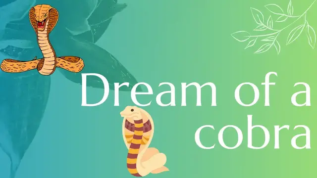 Video thumbnail for Dream of a cobra