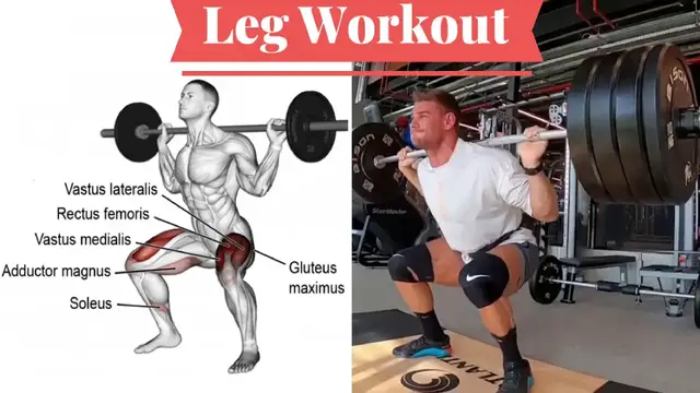 Video thumbnail for Best Leg Workouts & Exercises (Anatomy)