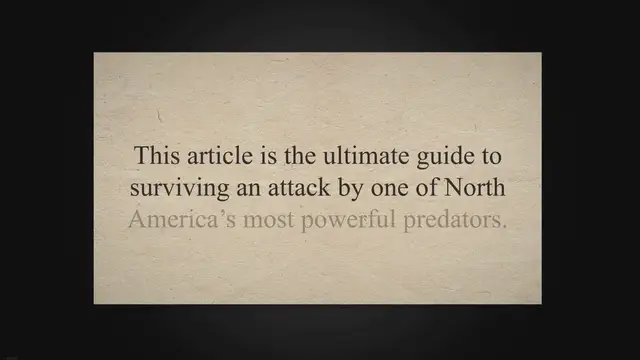 'Video thumbnail for Will a bear attack you in a tent?'