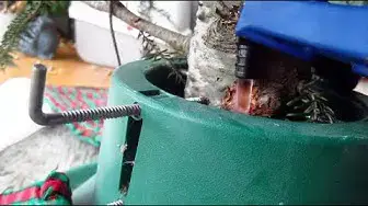 'Video thumbnail for Water Christmas Tree While Away'