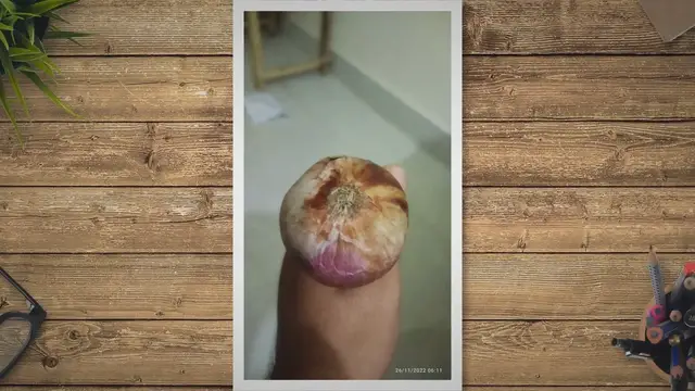 Video thumbnail for How To Do A Home Pregnancy Test With Onion and Urine?