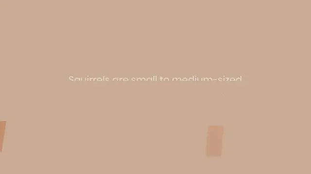 Video thumbnail for Lifespan of a Squirrel on Average (For Grey, Fox, Red & Brown)