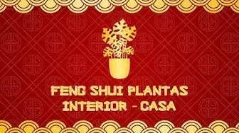 Video thumbnail for Feng shui | Plantas de interior, casa 🌿 video