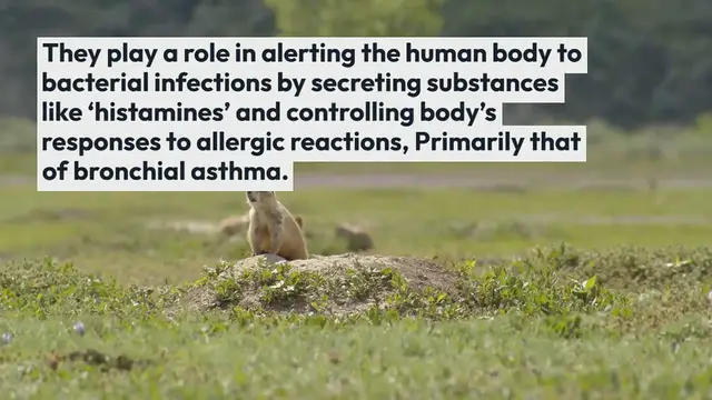 Video thumbnail for Top Lakers vs warriors Secrets