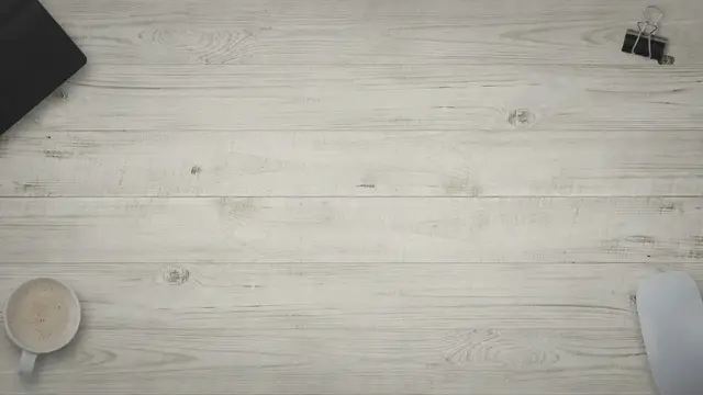 'Video thumbnail for How Fast Can a Dachshund Run? / Sausage Dogs'
