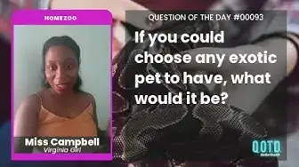 Video thumbnail for Move over, Tiger King! Lion Queen Miss Campbell is here!