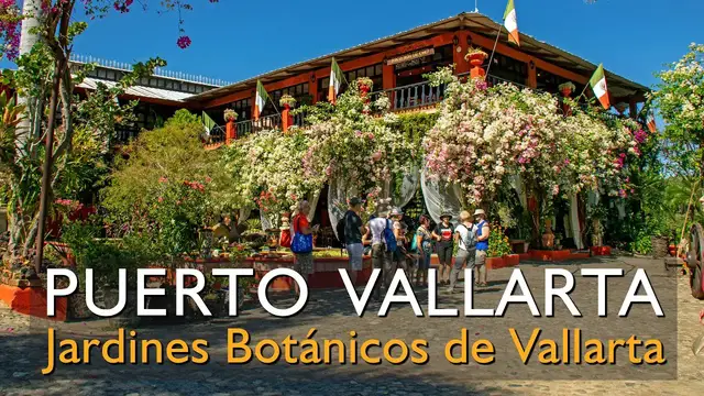 Video thumbnail for Conoce el Jardín Botánico de Puerto Vallarta, los mejores paseos en PV