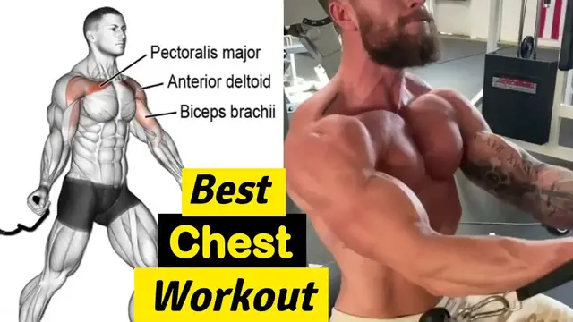 Video thumbnail for The Chest Exercises and Workouts You Need to Build Bigger Chest (Pec)