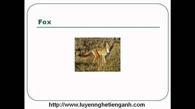 Video thumbnail for Learn English Vocabulary Through Pictures - Topic - Animals Lesson 04