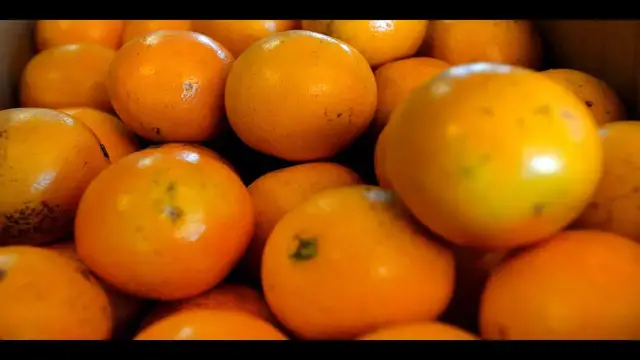 Video thumbnail for 4 Best Orange Peeler Reviews on Amazon You Need To Know!