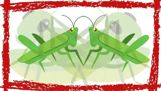 Video thumbnail for Great Green Bush cricket (Tettigonia viridissima) Call & Sound | Great Green Bush cricket Video