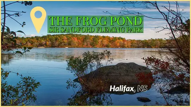 Video thumbnail for The Frog Pond (Autumn) -Sir Sandford Fleming Park - Halifax, NS