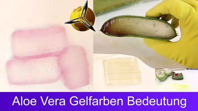 Video thumbnail for Aloe Vera Gel: Was unterschiedliche Gelfarben bedeuten