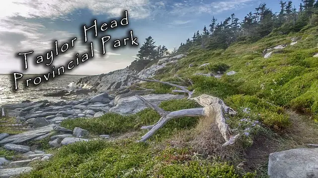 Video thumbnail for Taylor Head Provincial Park - Nova Scotia
