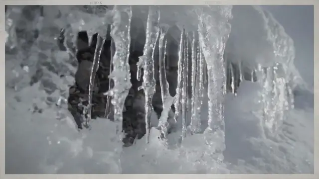 Video thumbnail for Why You Should Learn Practical Bushcraft Skills for Your Next Outdoor Adventure