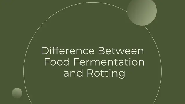 Video thumbnail for Difference Between Fermentation and Rotting Food