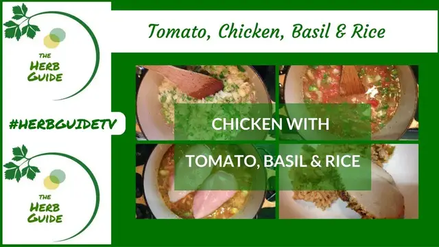 Video thumbnail for Tomato Basil Chicken and Rice|One Pot Chicken with Rice