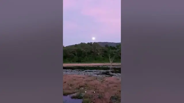 Video thumbnail for Full Moon #shorts