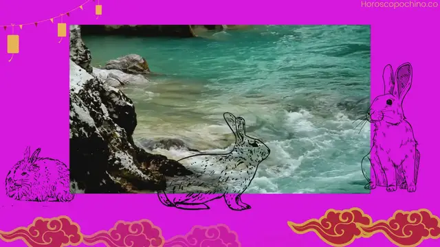 Video thumbnail for Horoscop chinezesc 2023 anul iepurelui de apă neagră.