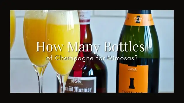 Video thumbnail for How Many Bottles of Champagne for Mimosas?