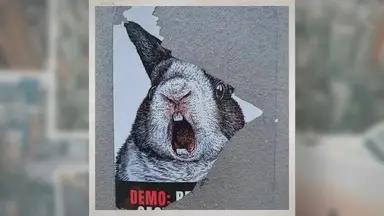 'Video thumbnail for These Countries Have Banned Animal Testing (2021)'