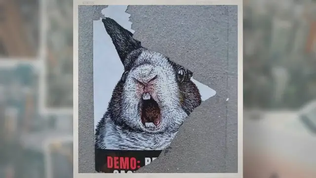 Video thumbnail for These Countries Have Banned Animal Testing (2021)